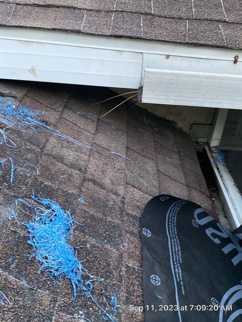 A blue tarp is on the roof of a house undergoing work.